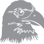Profile of Eagle