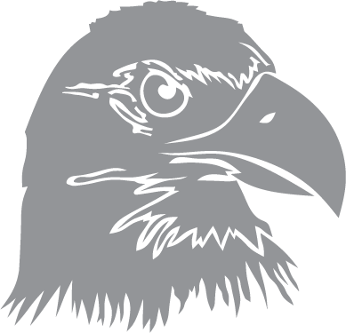 Profile of Eagle