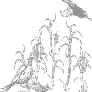 Glass Etching Stencils - Page 3 of 12 - Pre-cut Patterns