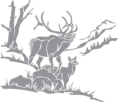 Elk in a Mountain Scene