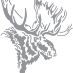 Moose Profile