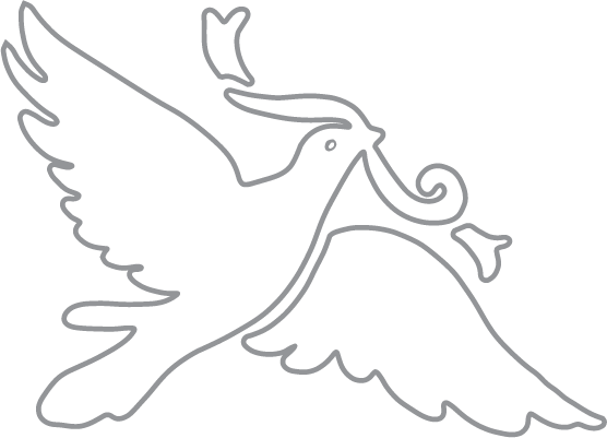 Wedding Dove with banner