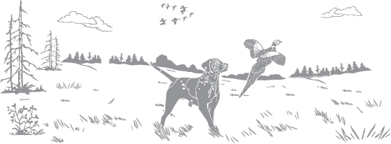 Pheasant and Hunting Dog