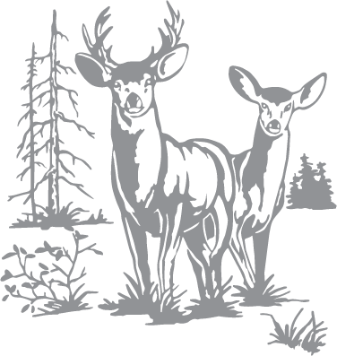 Doe and Buck Deer with Trees